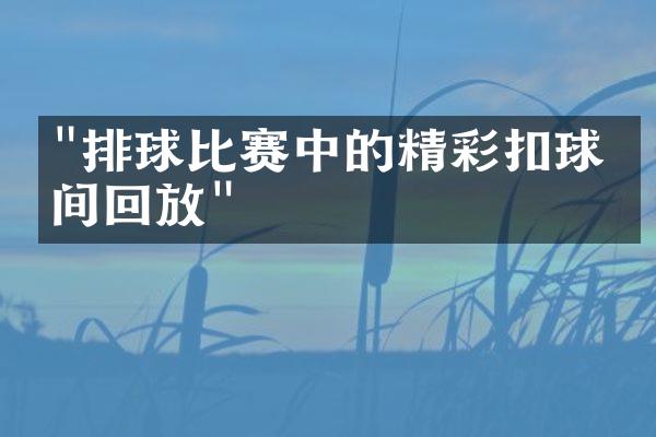 "排球比赛中的精彩扣球瞬间回放"