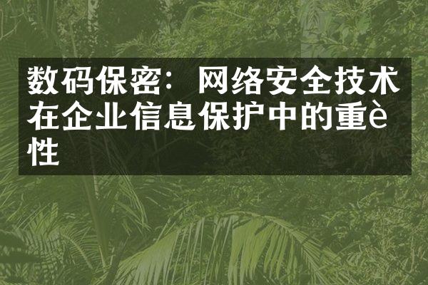 数码保密：网络安全技术在企业信息保护中的重要性