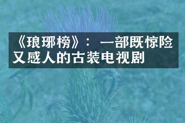 《琅琊榜》：一部既惊险又感人的古装电视剧