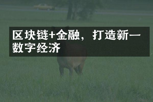 区块链+金融，打造新一代数字经济