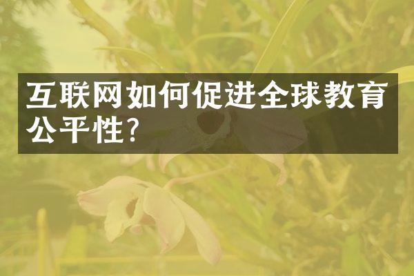 互联网如何促进全球教育公平性？