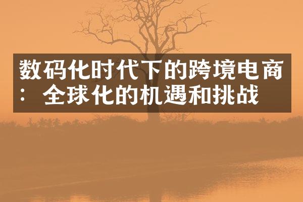 数码化时代下的跨境电商：全球化的机遇和挑战