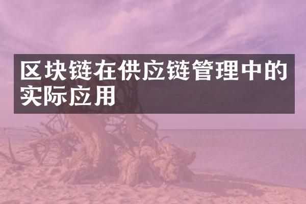 区块链在供应链管理中的实际应用