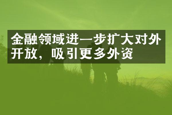 金融领域进一步扩大对外开放，吸引更多外资