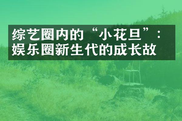 综艺圈内的“小花旦”：娱乐圈新生代的成长故事