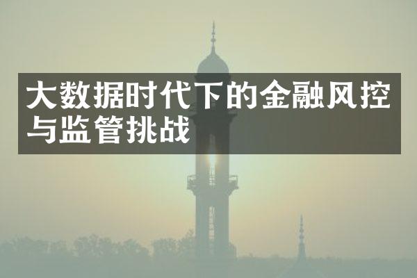 大数据时代下的金融风控与监管挑战