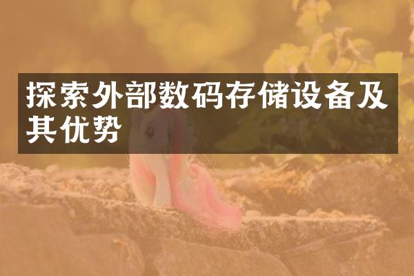 探索外部数码存储设备及其优势