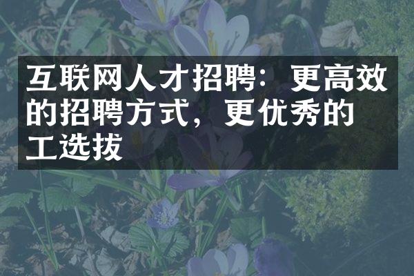 互联网人才招聘：更高效的招聘方式，更优秀的员工选拔