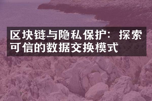 区块链与隐私保护：探索可信的数据交换模式