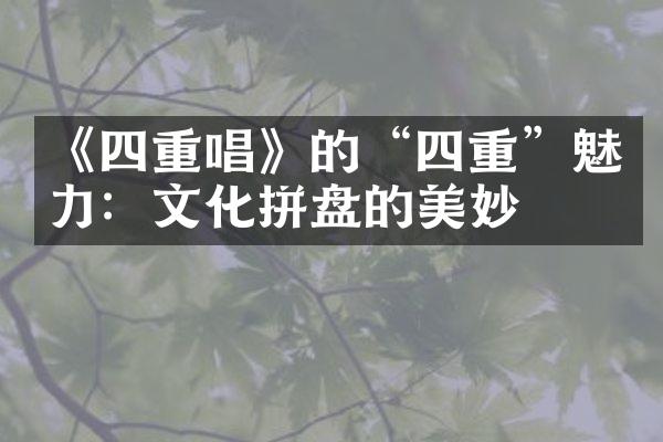 《四重唱》的“四重”魅力：文化拼盘的美妙