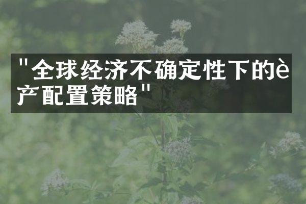 "全球经济不确定性下的资产配置策略"