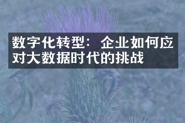 数字化转型：企业如何应对数据时代的挑战