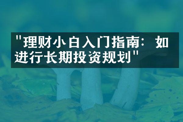 "理财小白入门指南：如何进行长期投资规划"