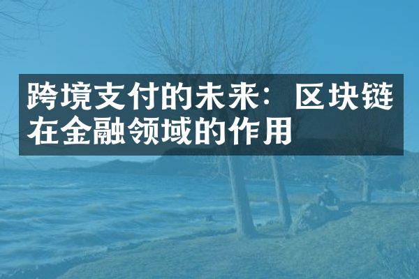 跨境支付的未来：区块链在金融领域的作用