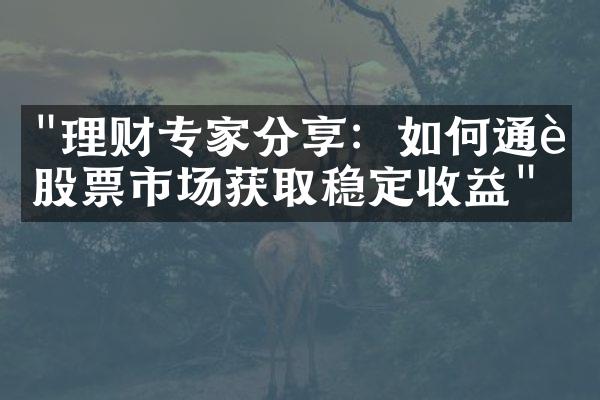 "理财专家分享：如何通过股票市场获取稳定收益"