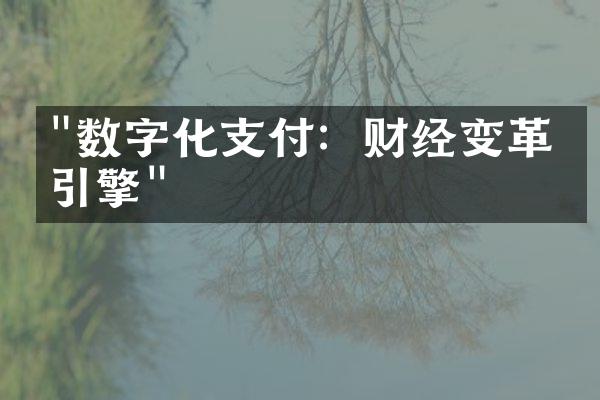 "数字化支付：财经变革的引擎"