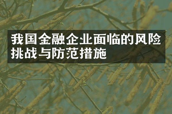 我国金融企业面临的风险挑战与防范措施