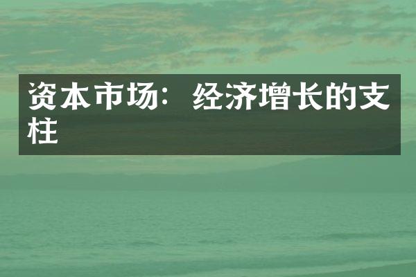 资本市场：经济增长的支柱