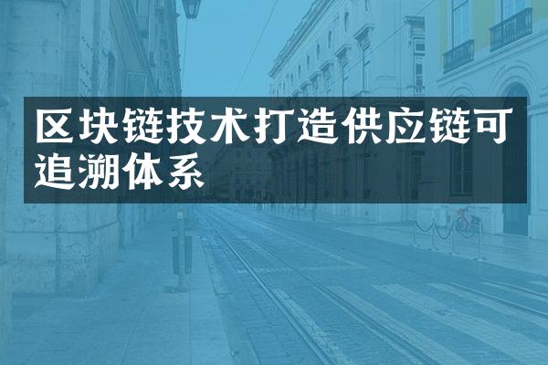 区块链技术打造供应链可追溯体系