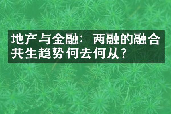 地产与金融：两融的融合共生趋势何去何从？