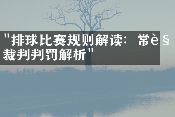 "排球比赛规则解读：常见裁判判罚解析"