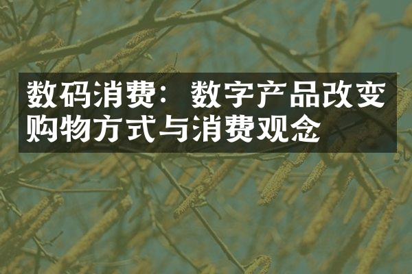 数码消费：数字产品改变购物方式与消费观念