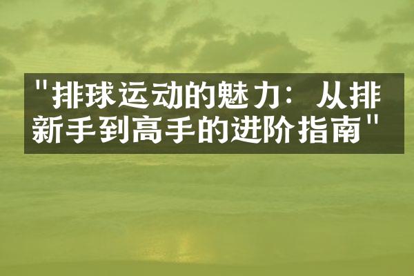 "排球运动的魅力：从排球新手到高手的进阶指南"