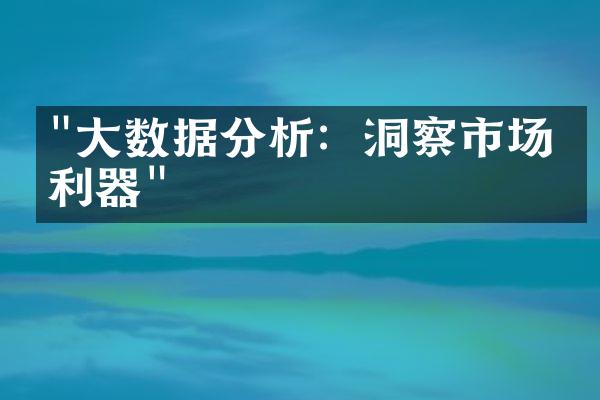 "大数据分析：洞察市场的利器"