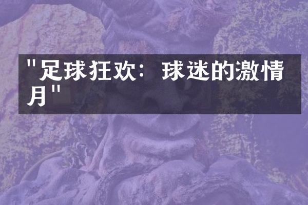 "足球狂欢：球迷的激情岁月"