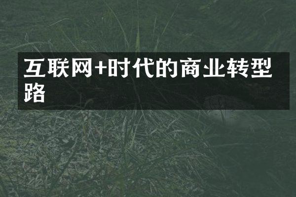 互联网+时代的商业转型之路