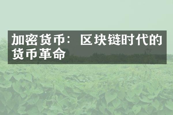 加密货币：区块链时代的货币革命