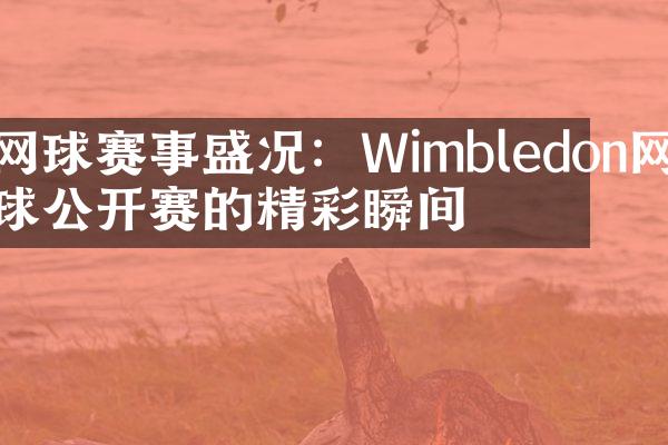 网球赛事盛况：Wimbledon网球公开赛的精彩瞬间