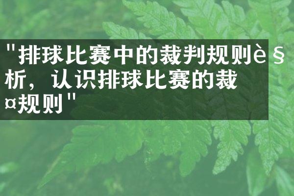 "排球比赛中的裁判规则解析，认识排球比赛的裁判规则"