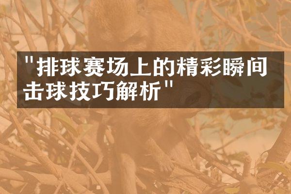 "排球赛场上的精彩瞬间：击球技巧解析"