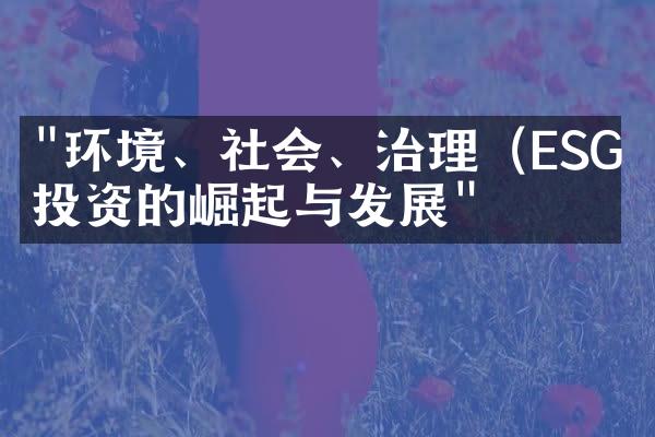 "环境、社会、治理（ESG）投资的崛起与发展"