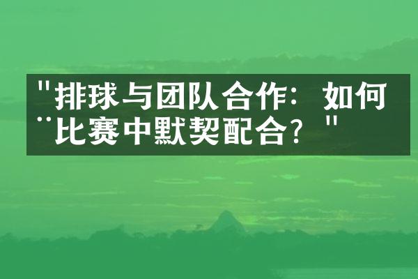 "排球与团队合作：如何在比赛中默契配合？"