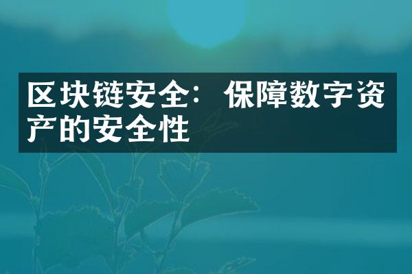 区块链安全：保障数字资产的安全性