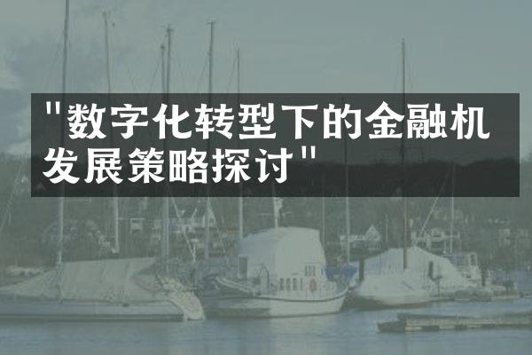 "数字化转型下的金融机构发展策略探讨"