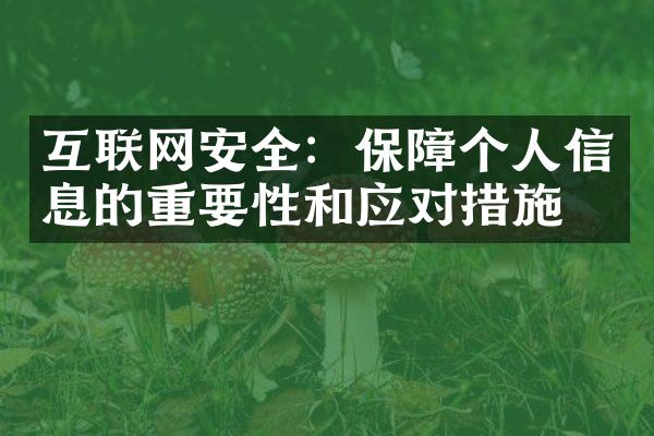 互联网安全：保障个人信息的重要性和应对措施