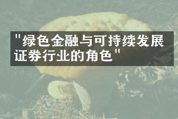 "绿色金融与可持续发展：证券行业的角色"