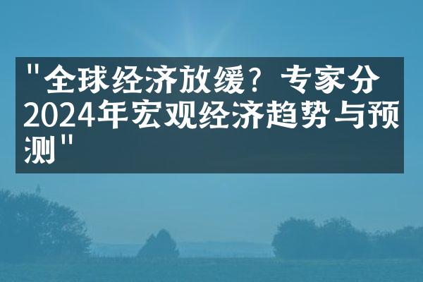 "全球经济放缓？专家分析2024年宏观经济趋势与预测"