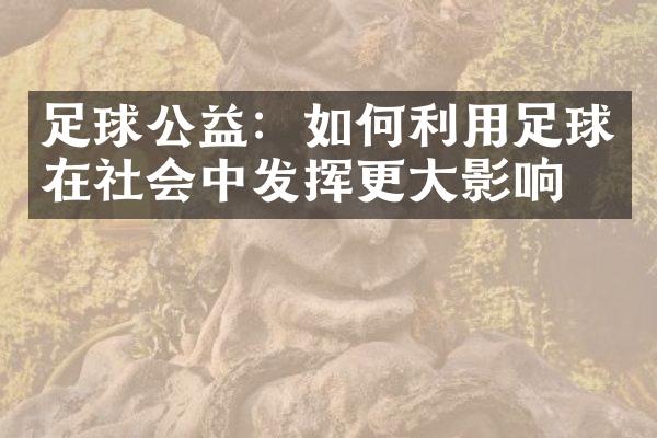 足球公益：如何利用足球在社会中发挥更大影响力