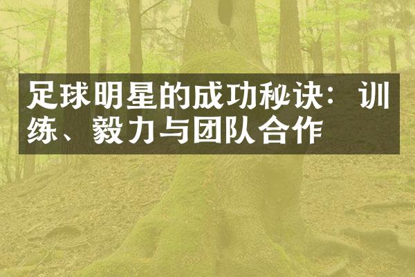 足球明星的成功秘诀：训练、毅力与团队合作