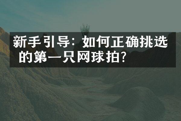 新手引导: 如何正确挑选你的第一只网球拍？