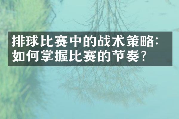 排球比赛中的战术策略：如何掌握比赛的节奏？