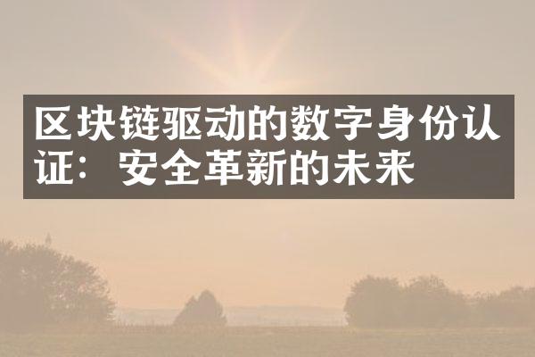 区块链驱动的数字身份认证：安全革新的未来