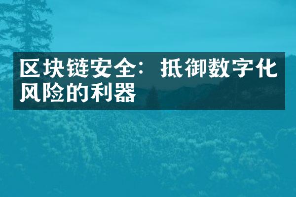 区块链安全：抵御数字化风险的利器