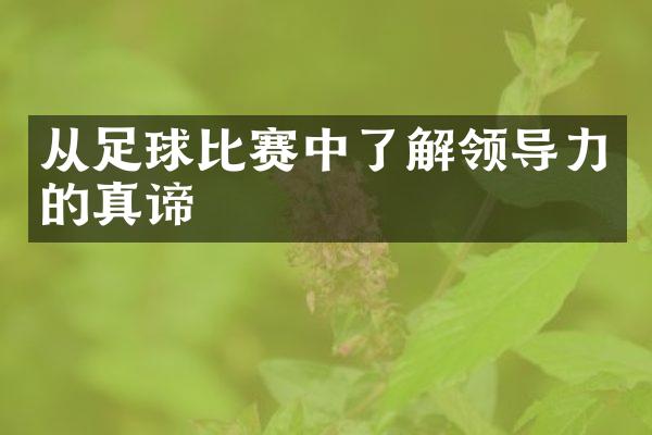 从足球比赛中了解领导力的真谛