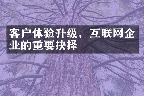 客户体验升级，互联网企业的重要抉择