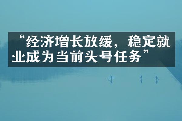 “经济增长放缓，稳定就业成为当前头号任务”